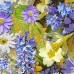 Debbie Hicks Counselling Cornwall